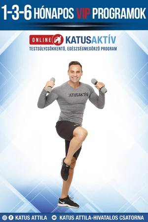 Online VIP KATUSAKTÍV Program