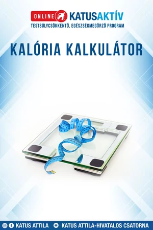 Kalória kalkulátor